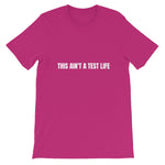 Not a Test Boyfriend Fit T-Shirt - Myrthland