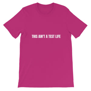 Not a Test Boyfriend Fit T-Shirt - Myrthland